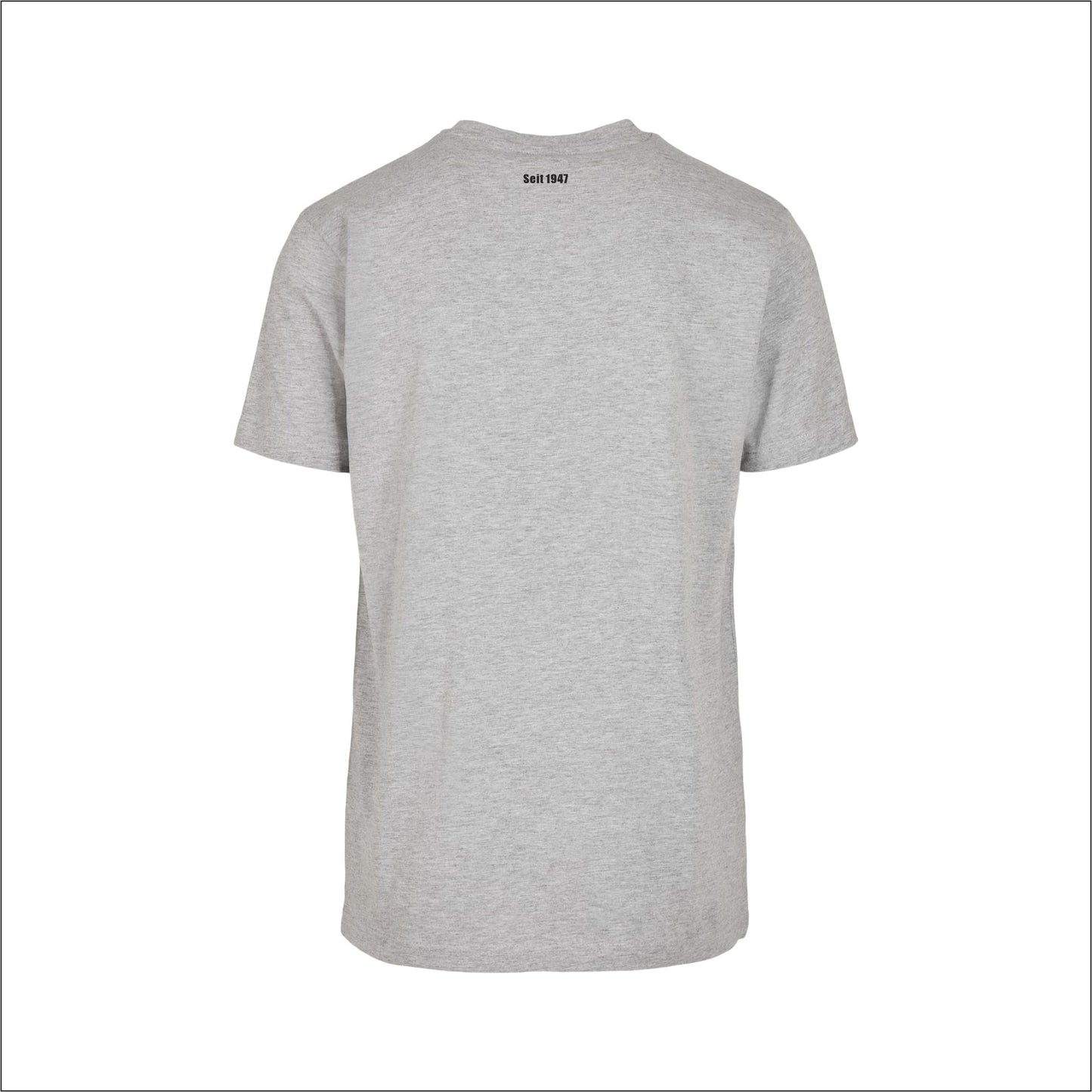 RWM KIDS T-Shirt "Ösperix" - Grau